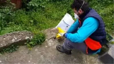 Trabzon'da vektörel mücadele çalışmalarına ağırlık verildi Trabzon'da vektörel mücadele çalışmalarına ağırlık verildi