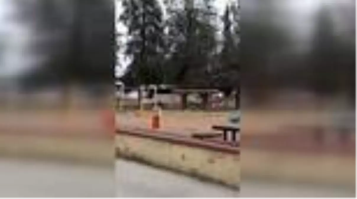 Bebeğinin boğazına bıçak dayayan zanlıyı polis bacağından vurarak yakaladı