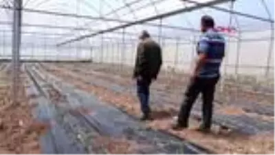 Burdurlu sera üreticisi yeni sezondan umutlu Burdurlu sera üreticisi yeni sezondan umutlu