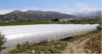 Burdurlu sera üreticisi, yeni sezondan umutlu Burdurlu sera üreticisi, yeni sezondan umutlu
