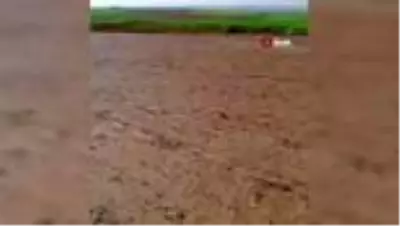 Diyarbakır’da dolu yağışı ekinlere zarar verdi