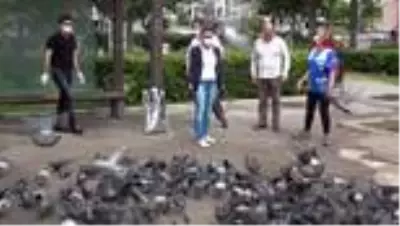 İzmir'de sokak hayvanları için mama seferberliği İzmir'de sokak hayvanları için mama seferberliği