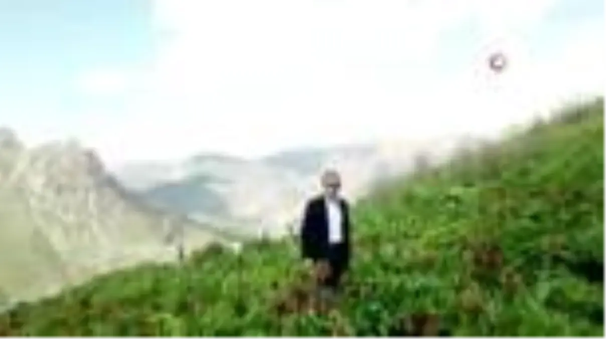 Şemdinli'ye baharla gelen güzellik
