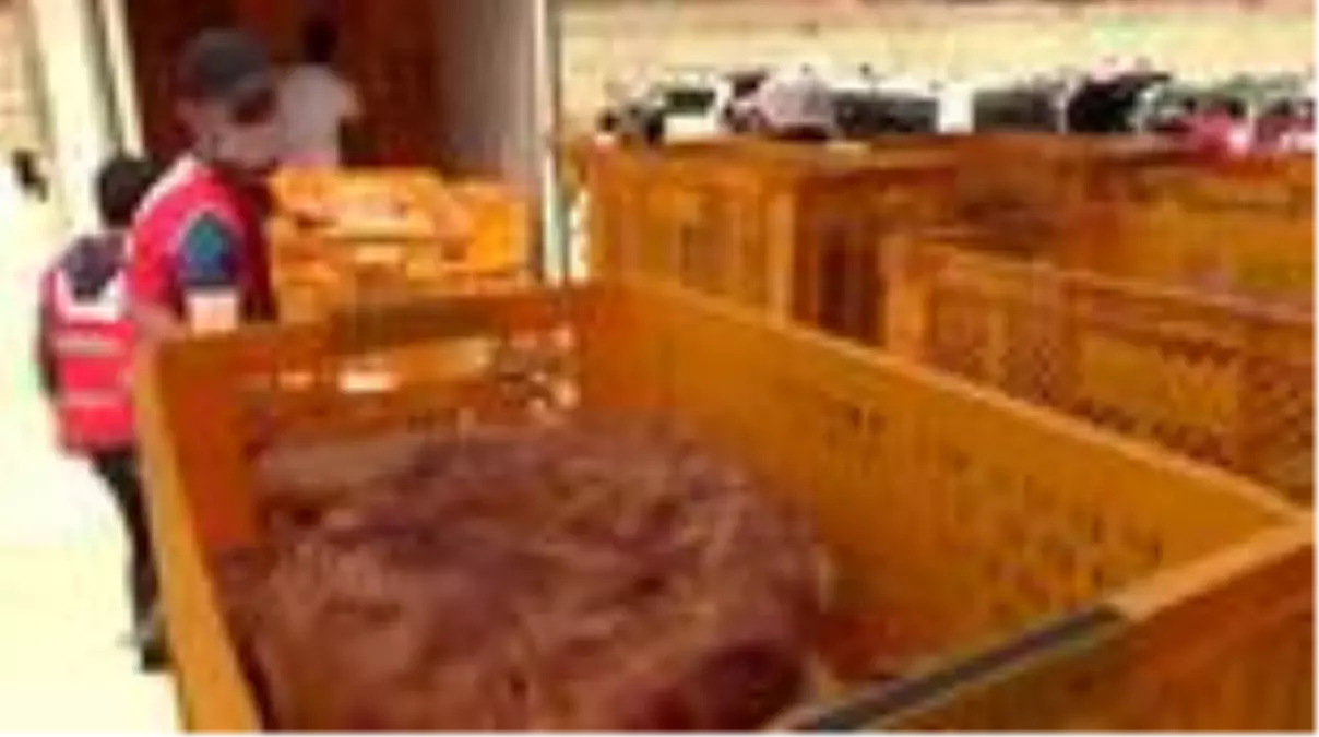 Türk Kızılay 10 bin pide dağıttı