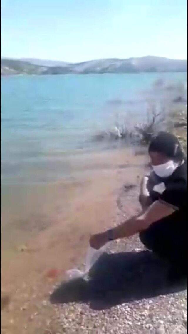 ABD'linin baraj gölüne bıraktığı kırmızı balıklar hala bulunamadı