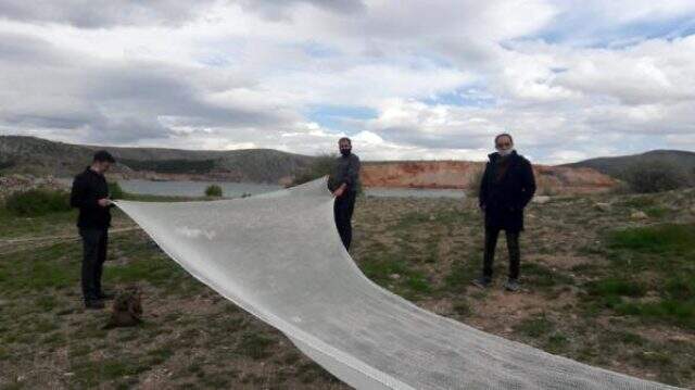 ABD'linin baraj gölüne bıraktığı kırmızı balıklar hala bulunamadı