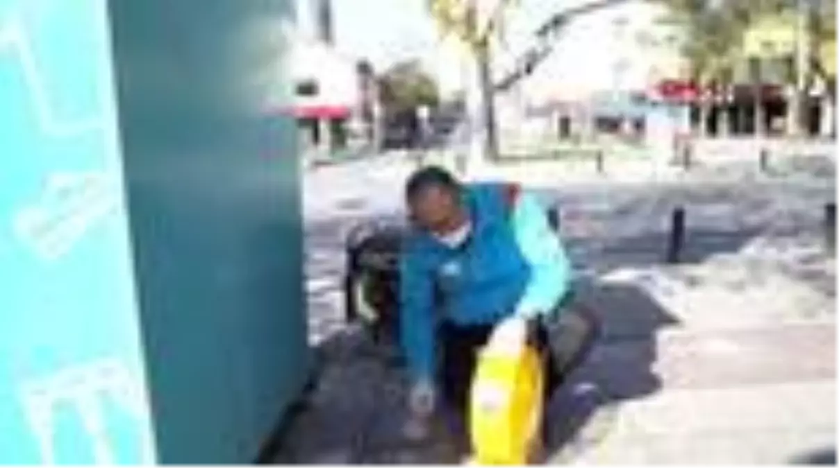 Beşiktaş'ta mama kapları yenileriyle değiştirildi