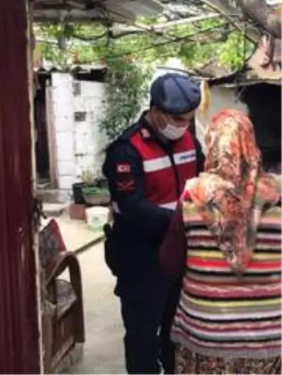 Burhaniye'de Vefa Sosyal Destek ekipleri vatandaşın hizmetinde Burhaniye'de Vefa Sosyal Destek ekipleri vatandaşın hizmetinde