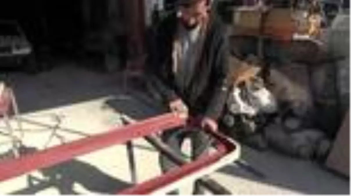 Eski ciplerin inanılmaz değişimi