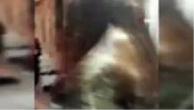 Evden çıkamayan kıza jandarmadan doğum günü sürprizi