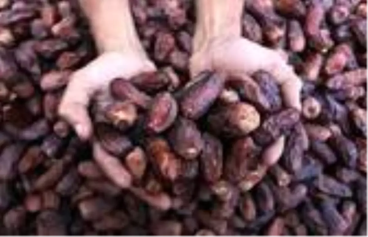 Hurma ithalatına 5 yılda 193 milyon dolar harcandı