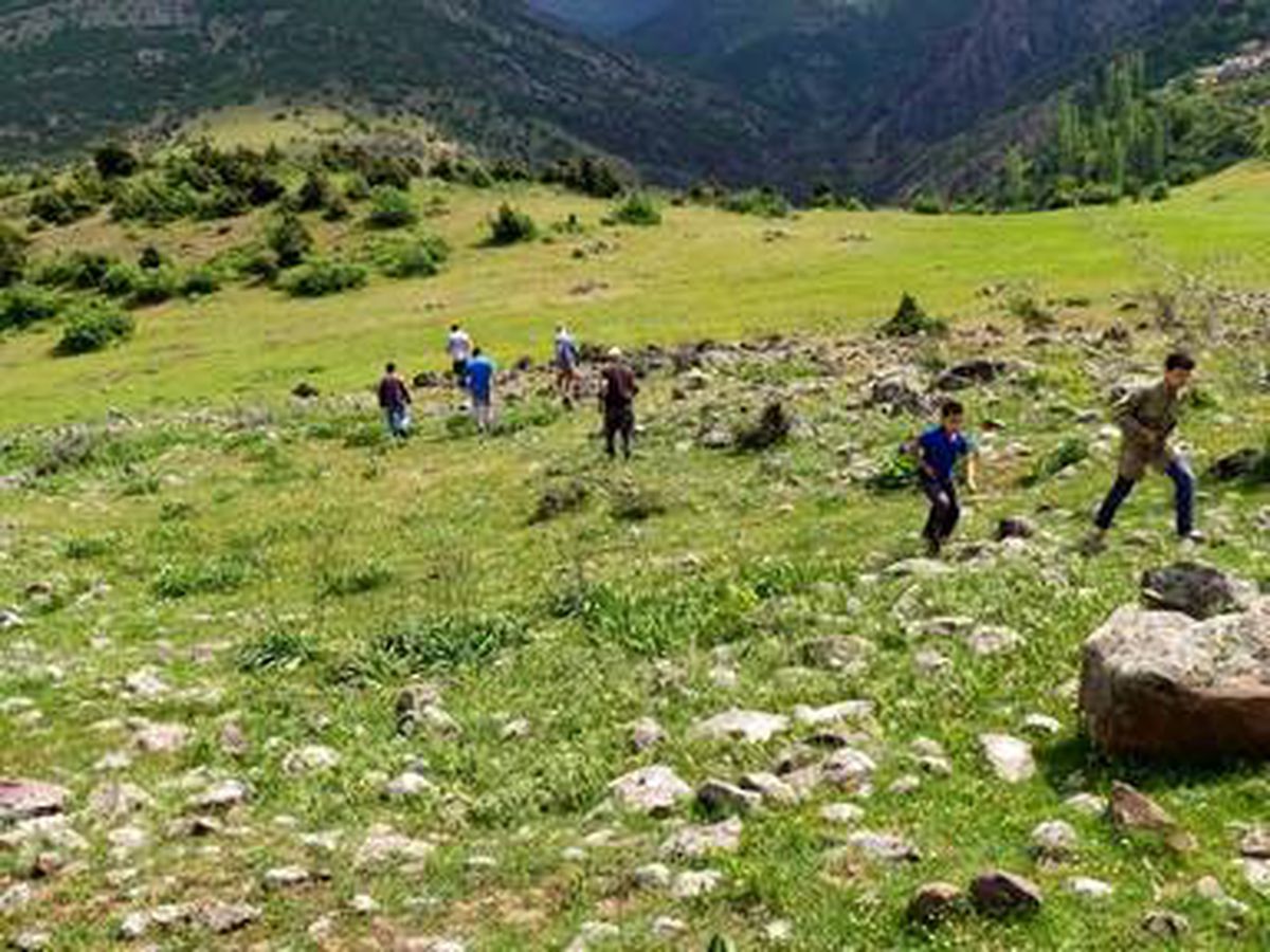 10-15 kişilik mahalleli, 12 gündür 2 koyun ve bir kuzunun peşinde!