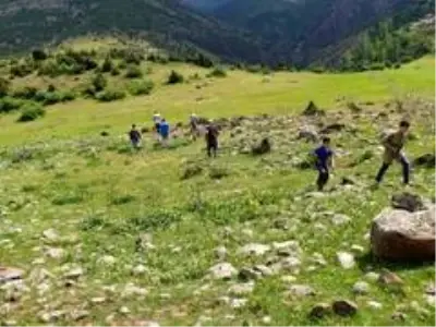 Kaybolan koyunlarını 12 gündür arıyor Kaybolan koyunlarını 12 gündür arıyor