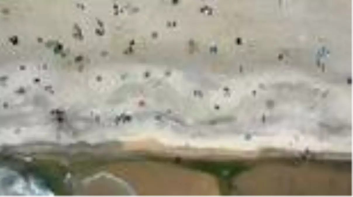 New Jersey plajlarında sosyal mesafeli güneşlendiler