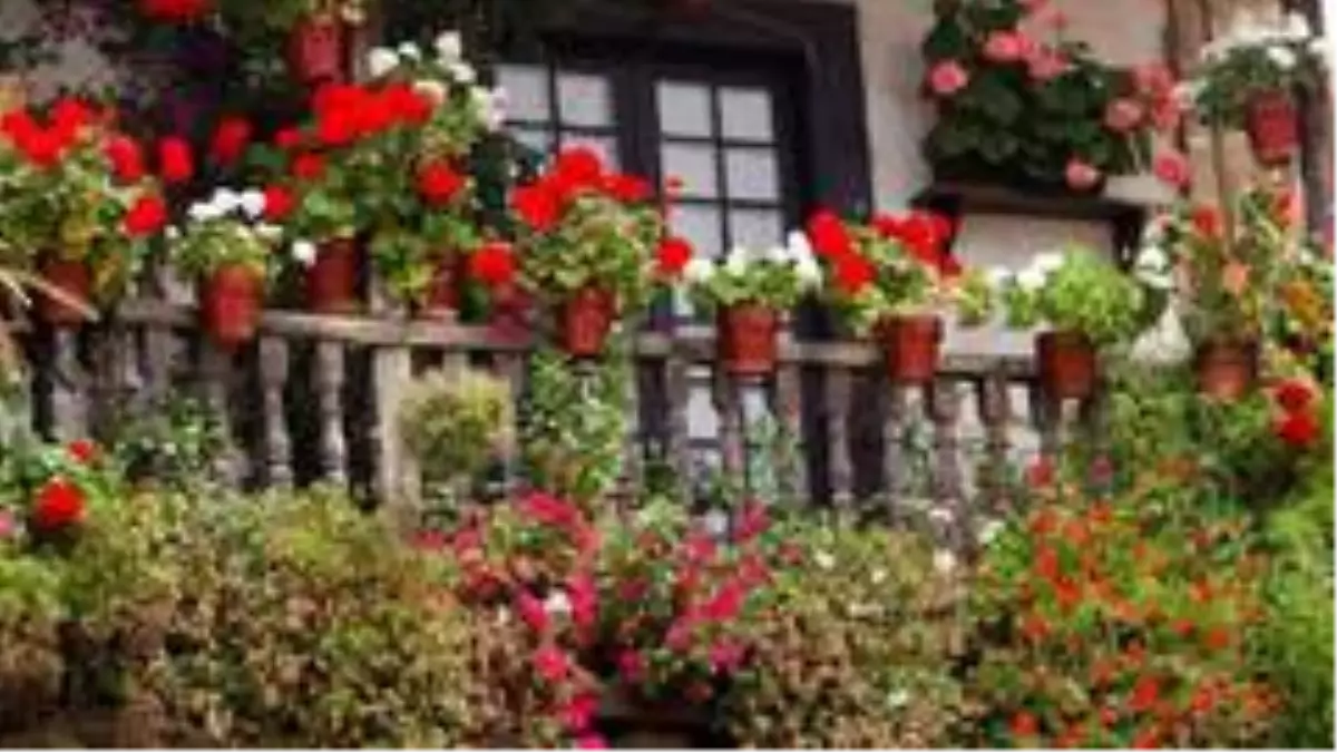 Ankara'da en güzel pencere, balkon ve teraslar yarışma ile belirlenecek
