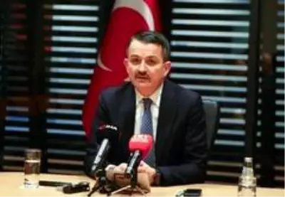 Bakan Pakdemirli'den hasada hazırlanan çiftçilere müjde Bakan Pakdemirli'den hasada hazırlanan çiftçilere müjde