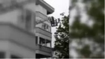 Balkondaki ağa takılan kargayı itfaiye kurtardı