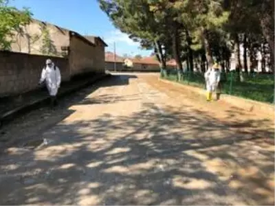 Edirne'den kısa kısa
