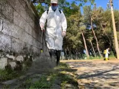 Edirne'den kısa kısa