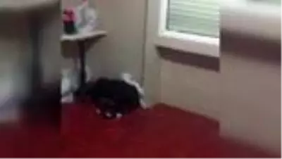 Kumar baskınında dolaplara saklanan 12 şüpheli, 52 bin TL cezadan kurtulamadı