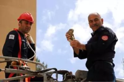 Mardin'de saçağa sıkışan baykuşu itfaiye kurtardı Mardin'de saçağa sıkışan baykuşu itfaiye kurtardı