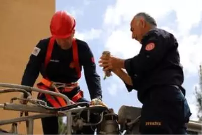 Mardin'de saçağa sıkışan baykuşu itfaiye kurtardı Mardin'de saçağa sıkışan baykuşu itfaiye kurtardı