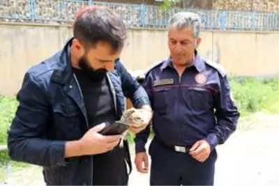 Mardin'de saçağa sıkışan baykuşu itfaiye kurtardı Mardin'de saçağa sıkışan baykuşu itfaiye kurtardı