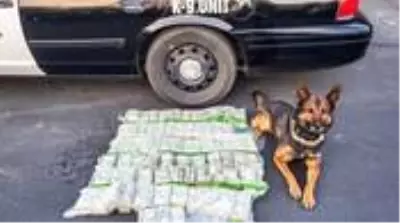 Polisten kaçan zanlılar, yol kenarına 900 bin dolar para attı