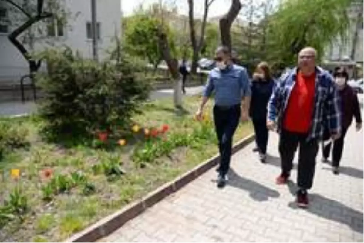 Pursaklar lalelerin göz alıcı güzelliği ile taçlanıyor