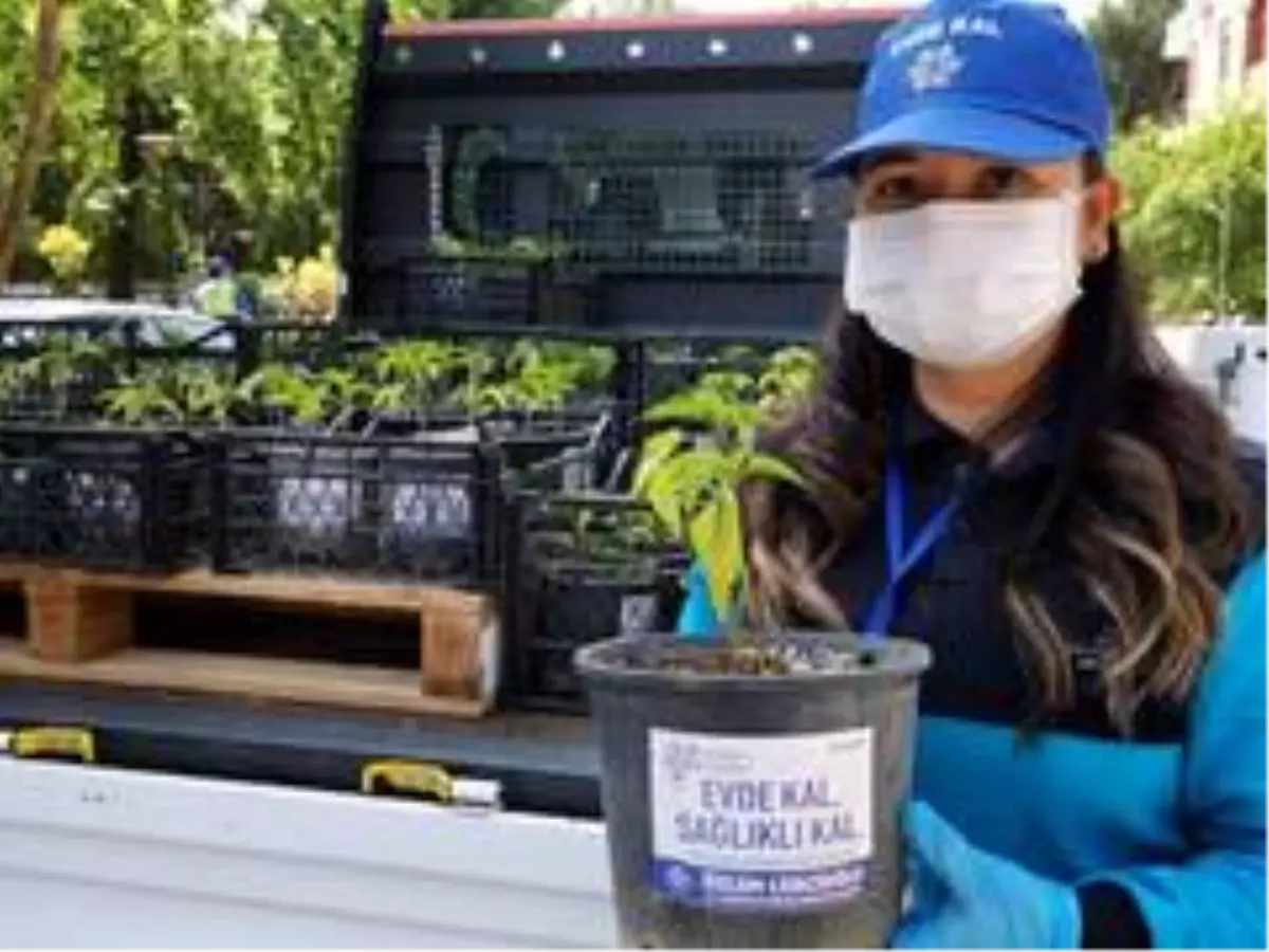 Başkan Çerçioğlu'ndan yaşlılara jest