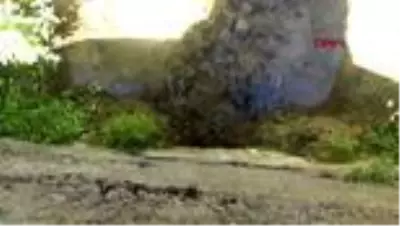 ÇANAKKALE Venedik’i andıran köyde evlerin altından su akıyor