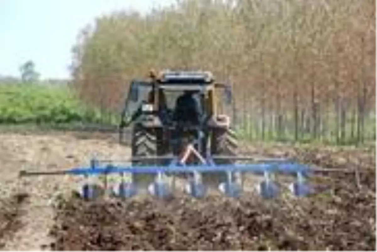 Çukurova'da tanıştı, Samsun'a getirdi