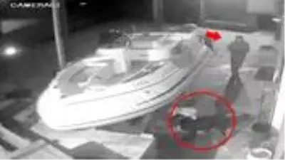 Köpekleri birbirine saldırtan şahıs, zincirli köpeğe tekme attı