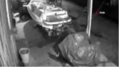 Marmaris’te Pitbull dehşeti...Köpeğini ile birlikte diğer köpeğe böyle işkence etti