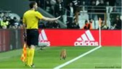 Rapor: Süper Lig futbolcularının değeri 150 milyon euro azalacak Rapor: Süper Lig futbolcularının değeri 150 milyon euro azalacak