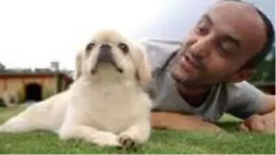 Köpeğinin öldüğünü bilmeyen Ersin Korkut'un sözleri duygulandırdı: Köpeğimi merak ediyorum acaba beni tanıyacak mı? Köpeğinin öldüğünü bilmeyen Ersin Korkut'un sözleri duygulandırdı: Köpeğimi merak ediyorum acaba beni tanıyacak mı?