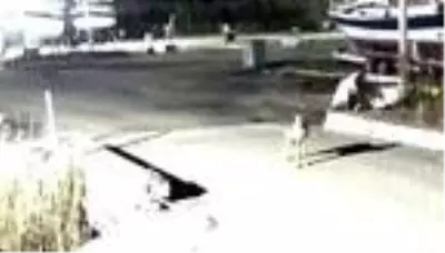 Kümese dadanan kurt, güvenlik kamerasına yansıdı Kümese dadanan kurt, güvenlik kamerasına yansıdı