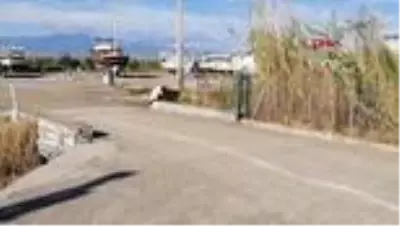 MUĞLA Kümese dadanan yaban kurdu güvenlik kamerasından tespit edildi