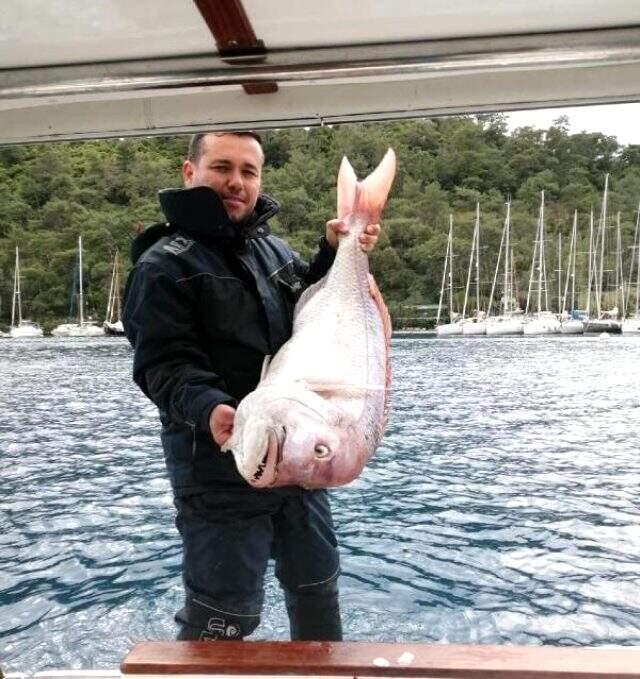 Balığa çıkan itfaiye eri, oltayla 13 kilo 890 gramlık trança balığı yakaladı Balığa çıkan itfaiye eri, oltayla 13 kilo 890 gramlık trança balığı yakaladı