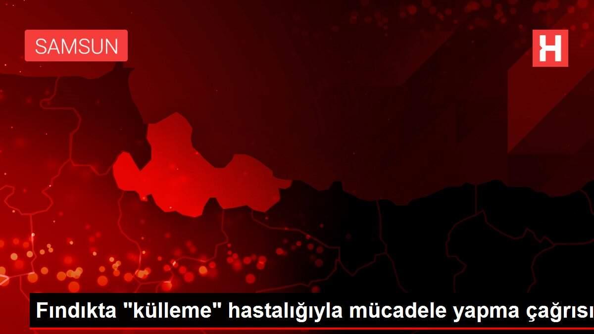 Fındıkta 'külleme' hastalığıyla mücadele yapma çağrısı