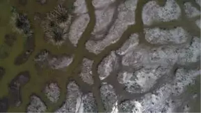 Kızılırmak Deltası Kuş Cenneti ilkbaharda bir başka güzel Kızılırmak Deltası Kuş Cenneti ilkbaharda bir başka güzel
