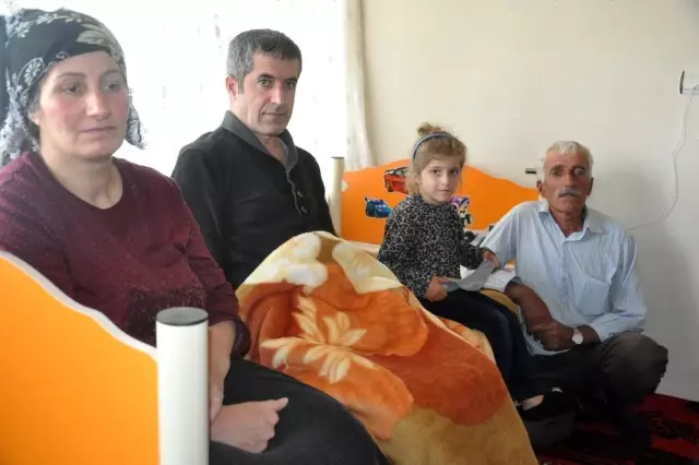 Korku filmi gibi Yılanlar evi bastı Haberler