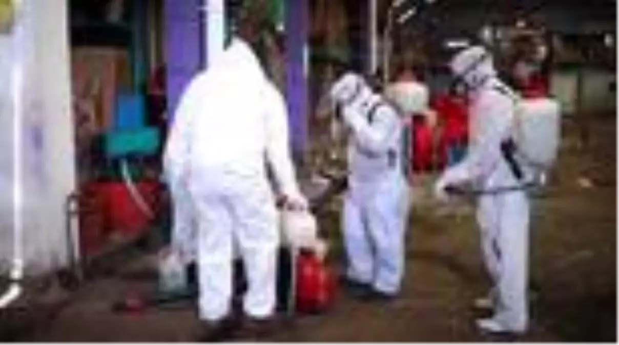 Meksika'da koronavirüs tedbirleri