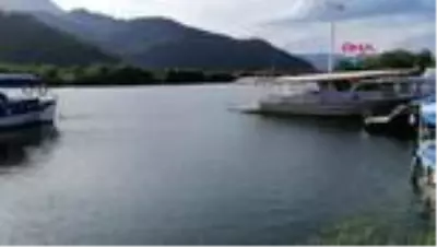 MUĞLA Kümese dadanan yaban kurdu güvenlik kamerasından tespit edildi-TEKRAR MUĞLA Kümese dadanan yaban kurdu güvenlik kamerasından tespit edildi-TEKRAR