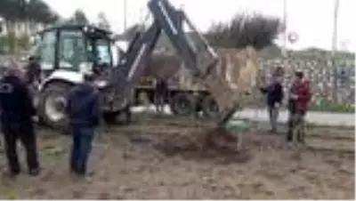 Sındırgı’da 3 bin ağaç toprakla buluştu