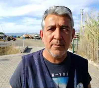 Yerleşim yerine inen kurt güvenlik kameralarına takıldı Yerleşim yerine inen kurt güvenlik kameralarına takıldı