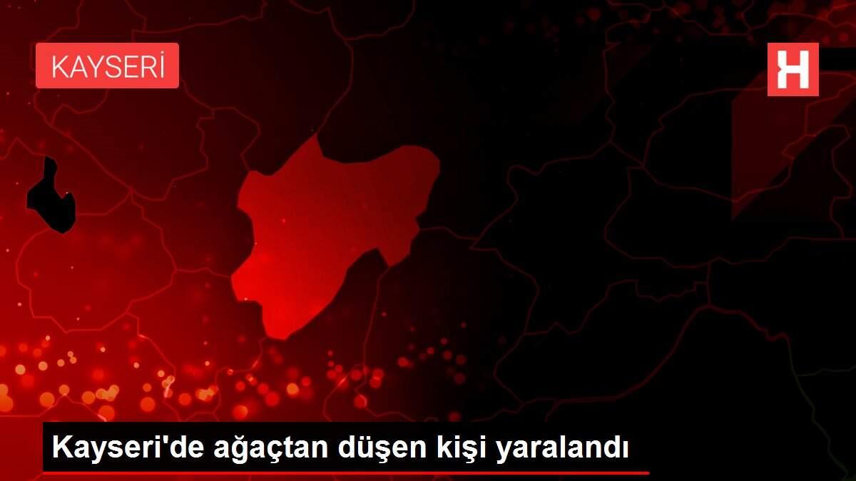 Kayseri'de ağaçtan düşen kişi yaralandı Kayseri'de ağaçtan düşen kişi yaralandı