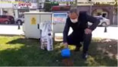 Silivri'de sokak hayvanlarına 1,5 ton mama dağıtıldı Silivri'de sokak hayvanlarına 1,5 ton mama dağıtıldı