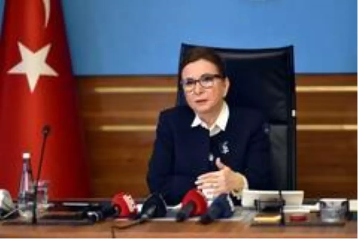 Ticaret Bakanı Pekcan, tır şoförleri için Ro-Ro gemisi iznini açıkladı