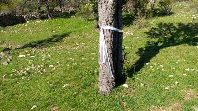 Ankara'da 5 çocuk annesi kadın, ayı saldırısında hayatını kaybetti.